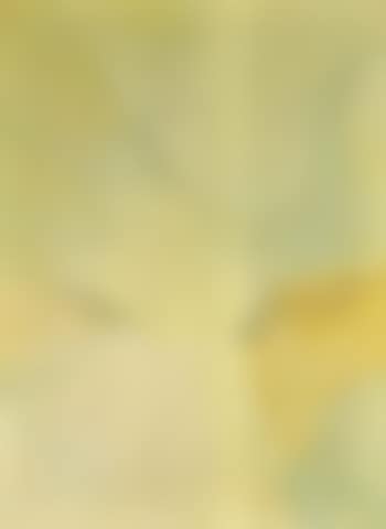 Composition (preview)