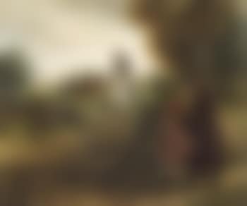 The petitioner (preview)