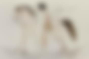 Nude boy with horse (preview)