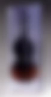Violon calcine (preview)
