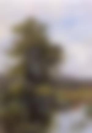 In the meadows, Arundel. Old windmill, near Pegwell Bay (preview)