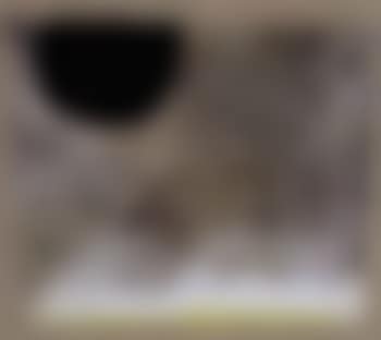 Excursion number 1 (preview)