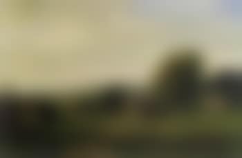 Spring landscape in southern Holland (preview)