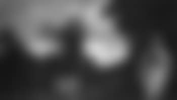 Carmelite monks in a landscape (preview)