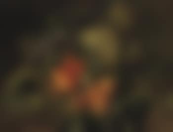 Grapes and apricots on a forest floor (preview)
