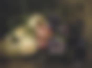 Bouquet de roses et de mauves sur une tablette: a mixed bouquet on a ledge (preview)