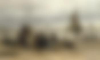 The arrival of the fleet: fisher-folk on the beach (preview)