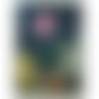 Chien Froid (preview)
