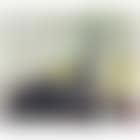 PM15 (preview)