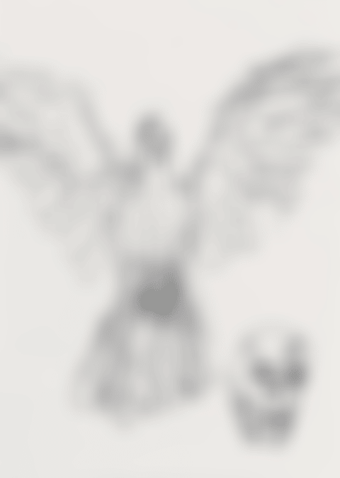 Dove & Skull (preview)