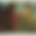Green Bathtub (preview)