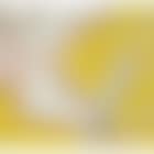 White Bread (preview)