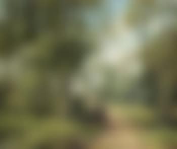 Hampshire Lane (preview)