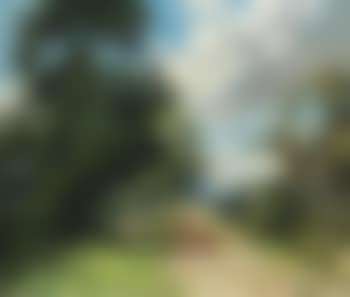 Morning Ride: Nyria on Silvertop from Wootton Stables Looking toward the Rising Sun (preview)