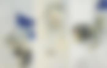 Chambre - La serviette bleue (preview)