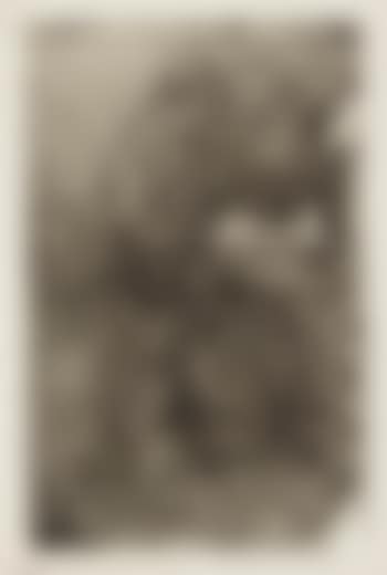 At the Dressing Table (B. 10) (preview)