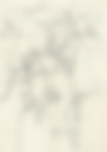 Gathering Fruit: preparatory drawing (see B. 157; B. CR 822) (preview)