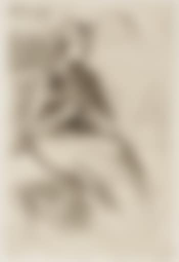 The Mandolin Player (B. 130) (preview)