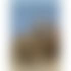 The Arche Scaligere, Verona (preview)