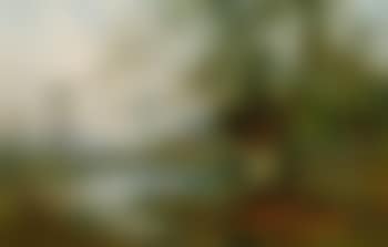 Springtime, Burnham Beeches (preview)