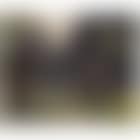 Pollarded willows (preview)
