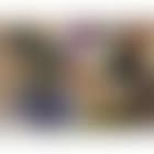 Untitled (preview)