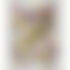 Untitled (SF 199S) (preview)