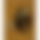 Still Life of Two Pigeons Hanging from a Nail on a Panelled Wood Wall (preview)
