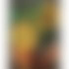 Two Sunflowers (preview)