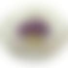Still Life of Flowers (preview)