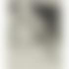 Homme devoilant une femme (B. 138) (preview)