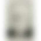 Portrait de Vollard II (B. 231) (preview)