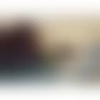 Seelandschaft (preview)