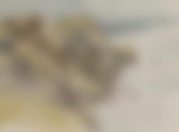 Coastal landscape (preview)