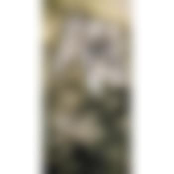 White Tiger (preview)