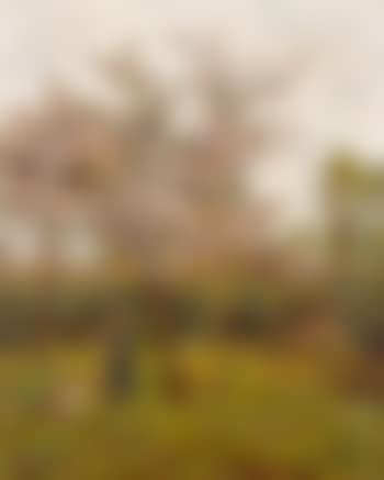 In the orchard (preview)