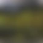 Autumn Landscape (preview)