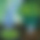 Still Life (preview)