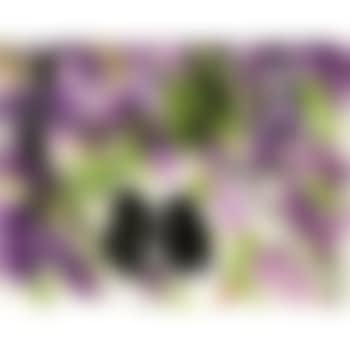 Birds on Wisteria (preview)