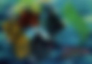 Composition (preview)