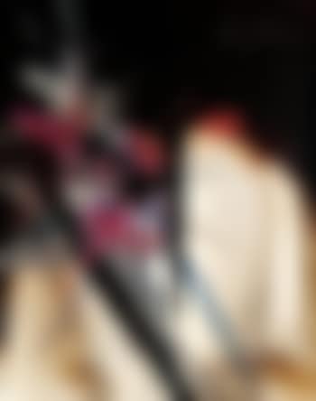 Le noye pensif (preview)