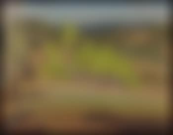 Rolling Hills, Summer (preview)