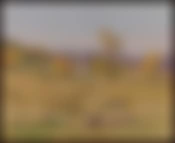 Farm on Rosenthal Road (preview)