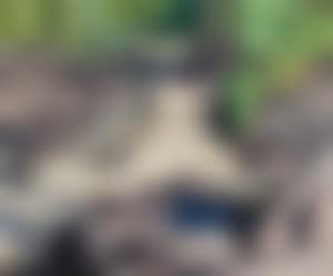 The little waterfall (preview)