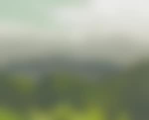 Hills near Dwight (preview)