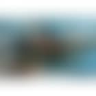 Ship's graveyard (preview)