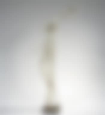 Oiseau perche (preview)