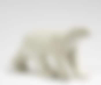 Ours polaire (preview)