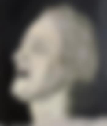 Study of the head of an old woman (preview)