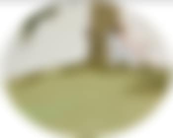 The conversation (preview)